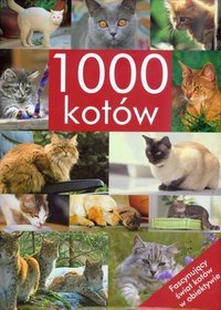 1000 kotów