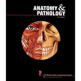 Anatomy and Pathology