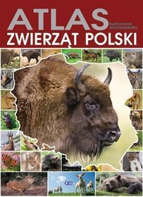 Atlas zwierząt Polski. Ilustrowana encyklopedia