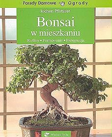 Bonsai w mieszkaniu