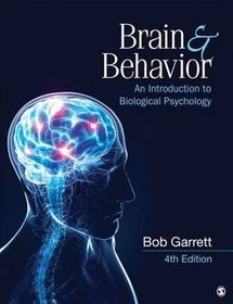 Brain  Behavior