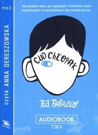Cud chłopak - audiobook (CD MP3)