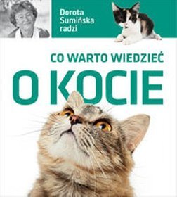 Dorota Sumińska radzi: Co warto wiedzieć o kocie