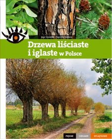 Drzewa liściaste i iglaste w Polsce Piękne ciekawe wyjątkowe