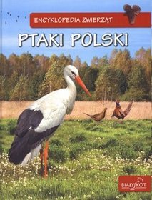 Encyklopedia zwierząt Ptaki Polski