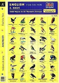 English. Find The Pair. Birds