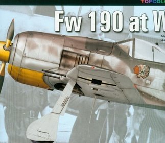 FW 190 at War Part I