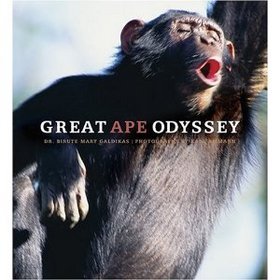Great Ape Odyssey