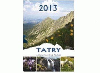 Kalendarz 2013. Kalendarz ścienny - Tatry