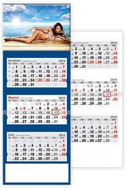 Kalendarz 2015. Kalendarz ścienny trójdzielny. T 42 Iga