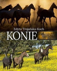 Konie
