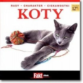 Koty. Fakt album 2/2011