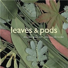 Leaves  Pods