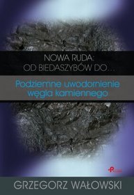 Nowa Ruda: od biedaszybów do... Podziemne uwodornienie węgla kamiennego