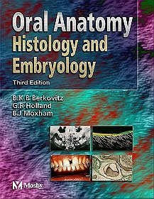Oral Anatomy Histology  Embriology