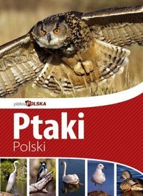 Piękna Polska. Ptaki Polski