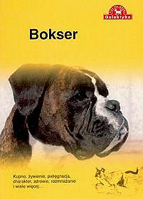 Pies na medal - Bokser
