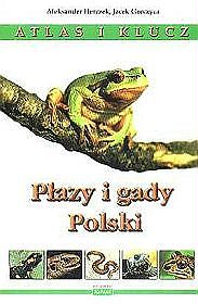 Płazy i gady Polski Atlas i klucz