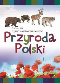 Przyroda Polski. Poznaj jej piękno i niepowtarzalność