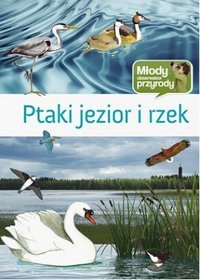 Ptaki jezior i rzek - Młody Obserwator Przyrody