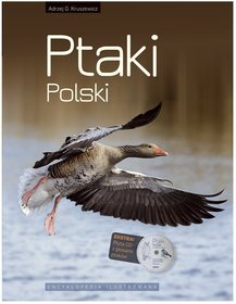 Ptaki Polski encyklopedia ilustrowana