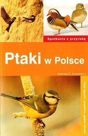 Ptaki w Polsce. Spotkania z przyrodą