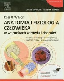 Ross  Wilson Anatomia i fizjologia człowieka w warunkach zdrowia i choroby