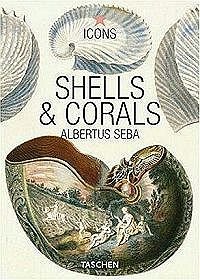 Shells  Corals (Icons)