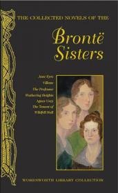 The Collected Novels of the Bronte Sisters