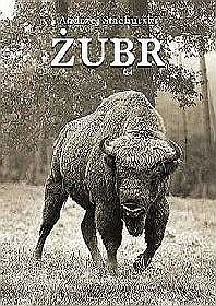 Żubr (wersja polska)