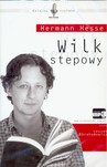 CD MP3 WILK STEPOWY