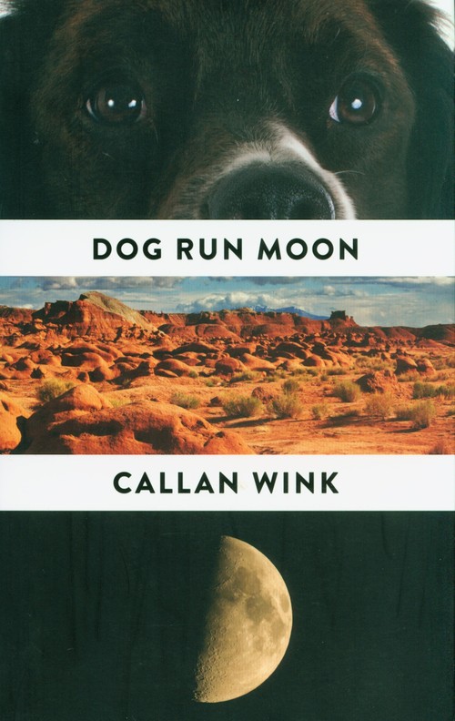 Dog Run Moon