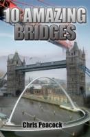 EBOOK 10 Amazing Bridges