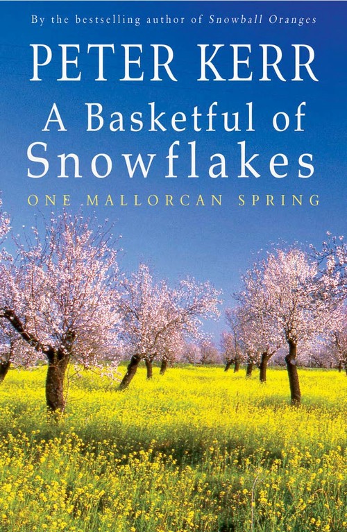EBOOK A Basketful of Snowflakes