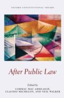 EBOOK After Public Law