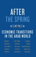 EBOOK After the Spring:Economic Transitions in the Arab World