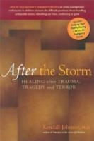 EBOOK After the Storm