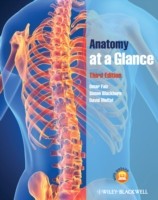 EBOOK Anatomy at a Glance