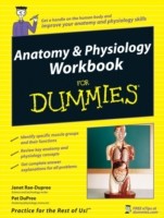EBOOK Anatomy & Physiology Workbook For Dummies