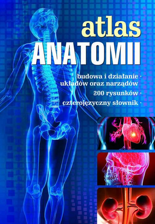 EBOOK Atlas anatomii