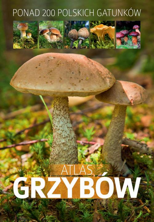 EBOOK Atlas grzybów. Ponad 200 polskich gatunków