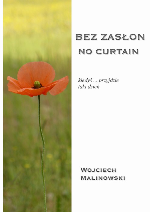 EBOOK Bez zasłon - No curtain