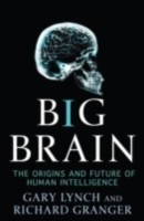 EBOOK Big Brain