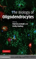 EBOOK Biology of Oligodendrocytes