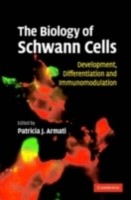 EBOOK Biology of Schwann Cells