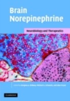 EBOOK Brain Norepinephrine