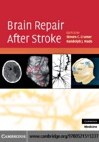 EBOOK Brain Repair After Stroke