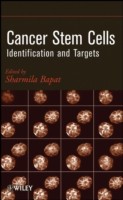 EBOOK Cancer Stem Cells