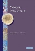 EBOOK Cancer Stem Cells
