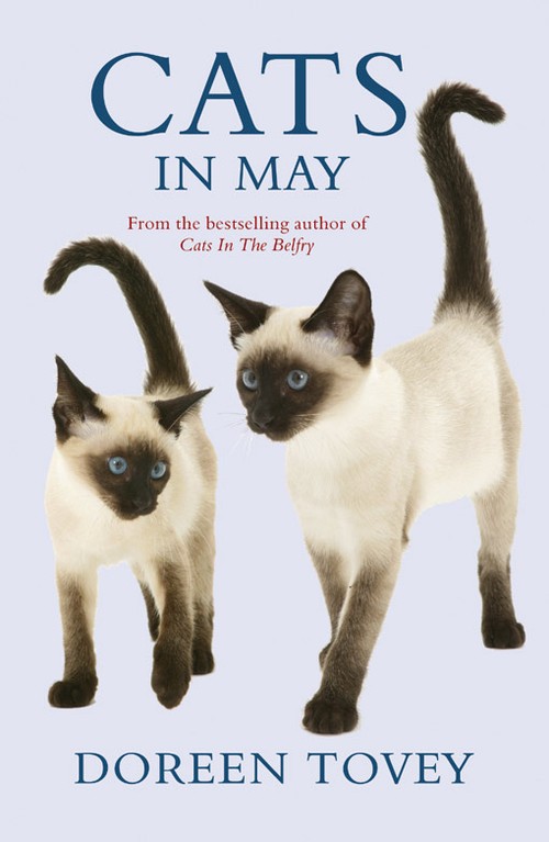 EBOOK Cats in May